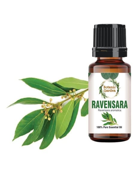 BOTANIC GARDEN Botanic Garden Ravensara Pure Natural Essential Oil Ravensara aromatica 10ML  - Image 1