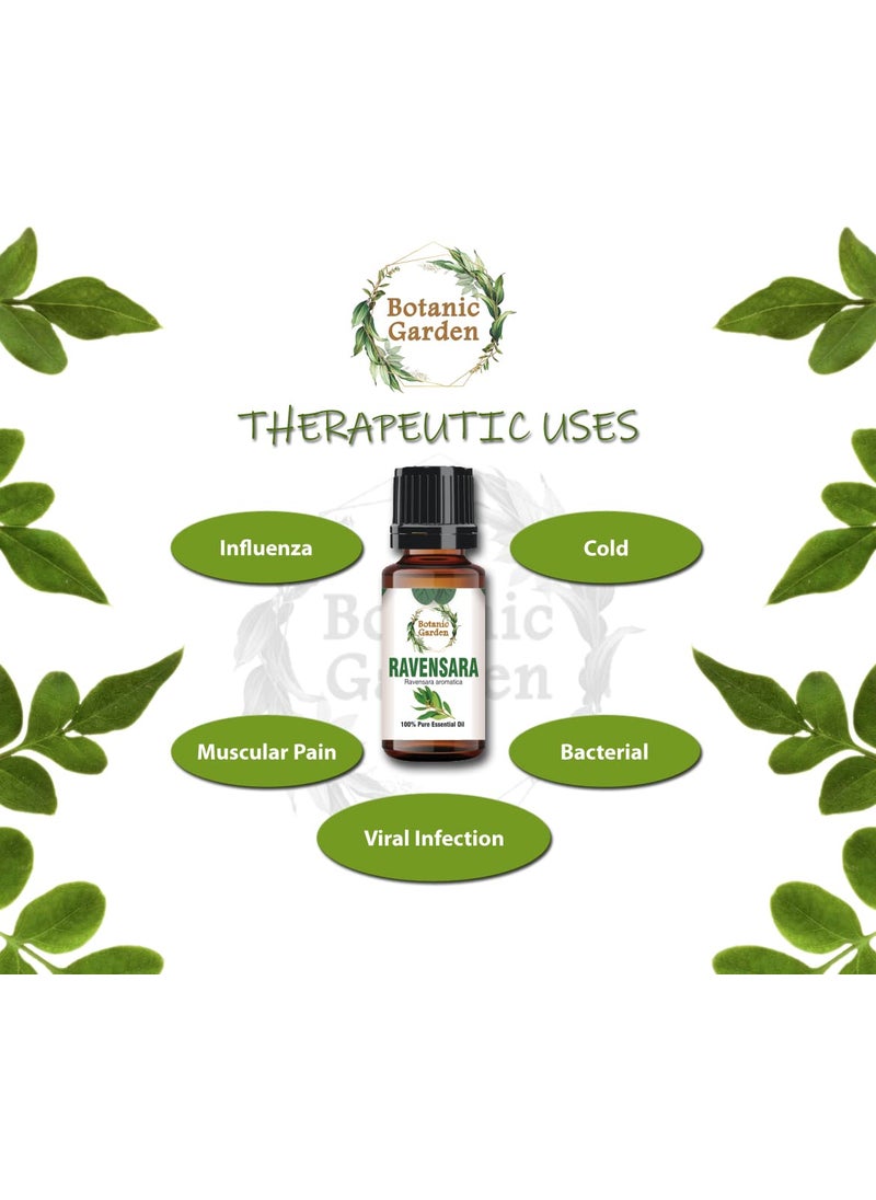 BOTANIC GARDEN Botanic Garden Ravensara Pure Natural Essential Oil Ravensara aromatica 10ML  - Image 3