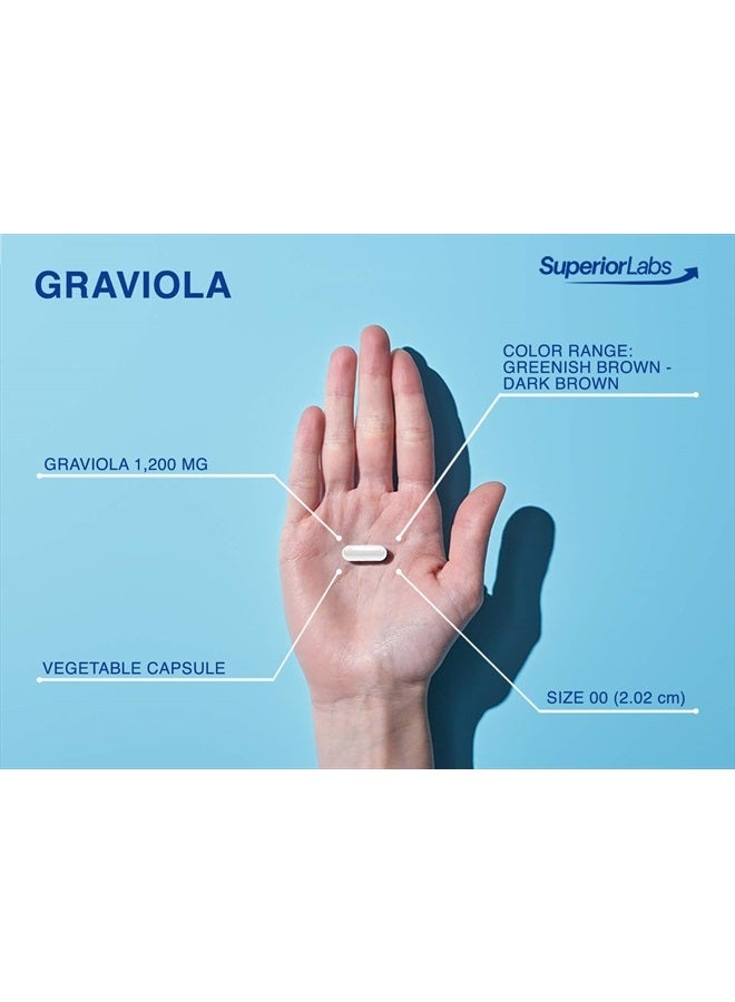 Superior Labs غرافيولا طبيعية نقية غير معدلة وراثيًا - 1,200 ملغ، 120 كبسولة نباتية - مكمل غذائي طبيعي من السورساب - بشرة صحية ويساعد في تعزيز نمو الخلايا - الجهاز التنفسي - مزاج متوازن - Image 3