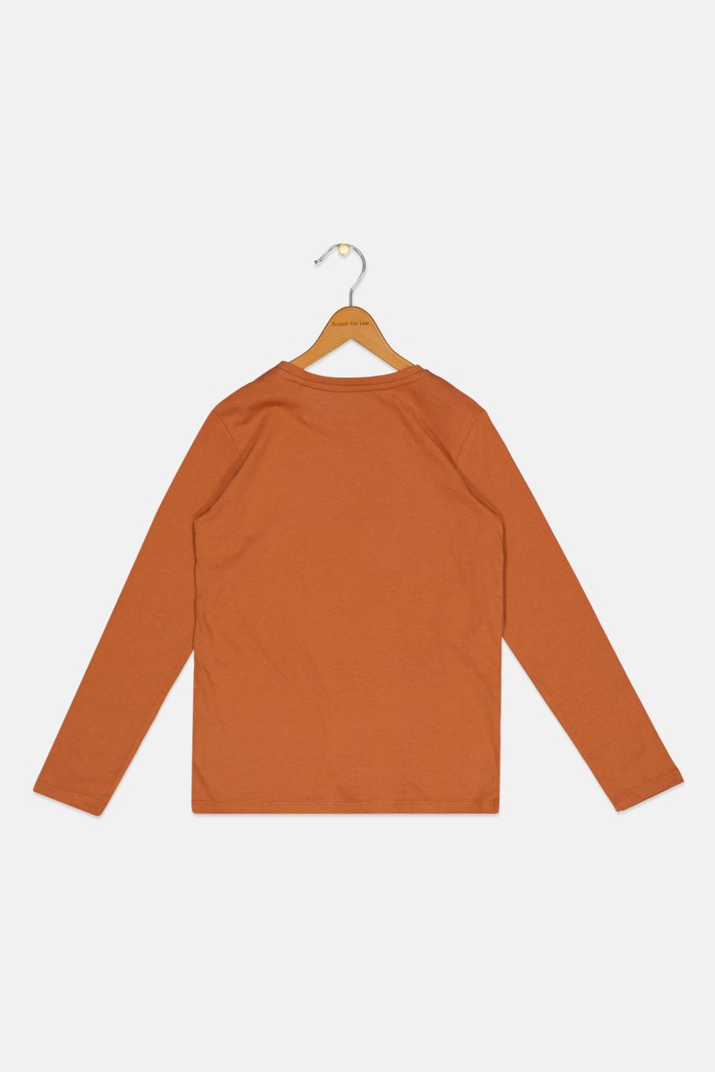 Sinsay تي شيرت طويل الأكمام بأكمام دائرية للأولاد، بني - Image 3