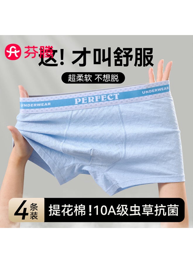 Fenteng Men's Pure Cotton Antibacterial Boxer Briefs For Adolescent Boys, High School Students, Four-point Shorts