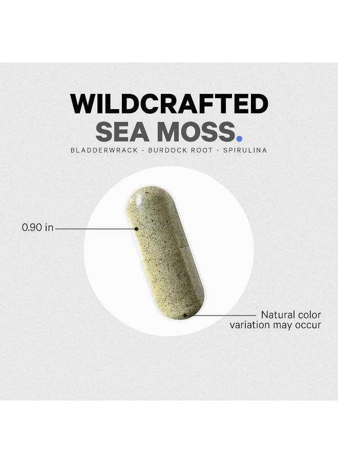 Codeage - Raw Wildcrafted Irish Sea Moss Supplement, Spirulina Algae, Bladderwrack Seaweed, Burdock Root, Black Pepper, Vegan, Non-Gmo, 120 Capsules - Image 1