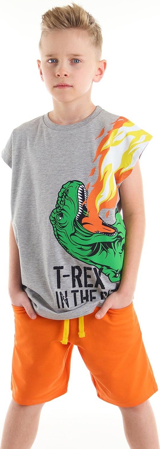 Mshb&G T-Rex Flame Boy T-Shirt Shorts Set  - Image 1