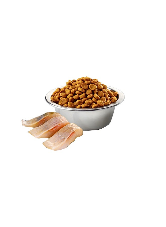 Farmina ND Quinoa Weight Management Lamb Adult Cat Food - 1.5 KG - Image 3