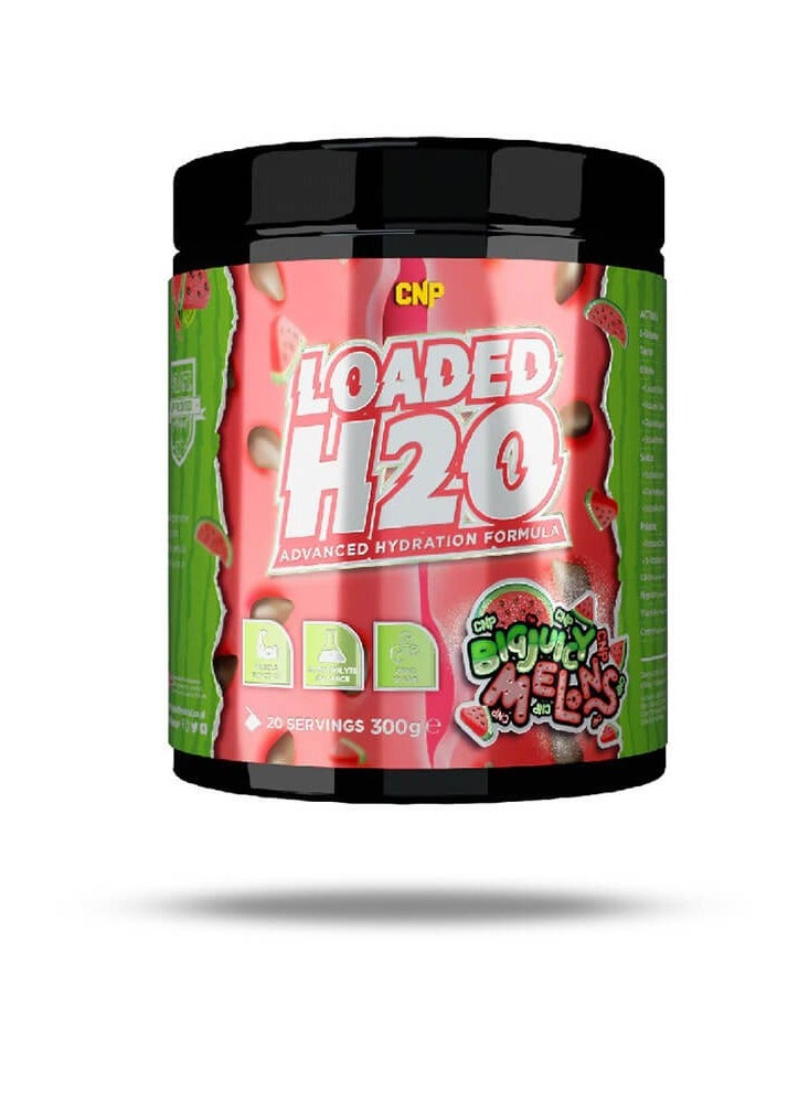 سي إن بي بطيخ كبير وعصير محمل بـ CNP H20، 300 غرام - Image 1