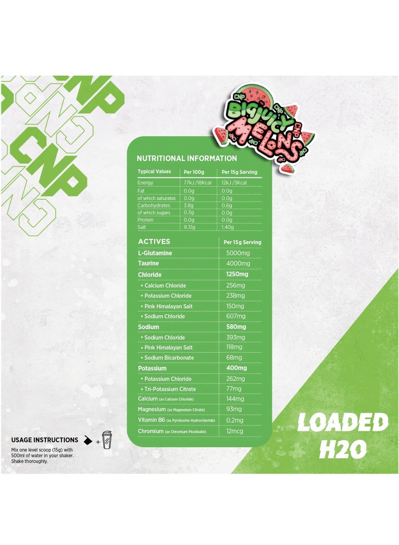 سي إن بي بطيخ كبير وعصير محمل بـ CNP H20، 300 غرام - Image 2