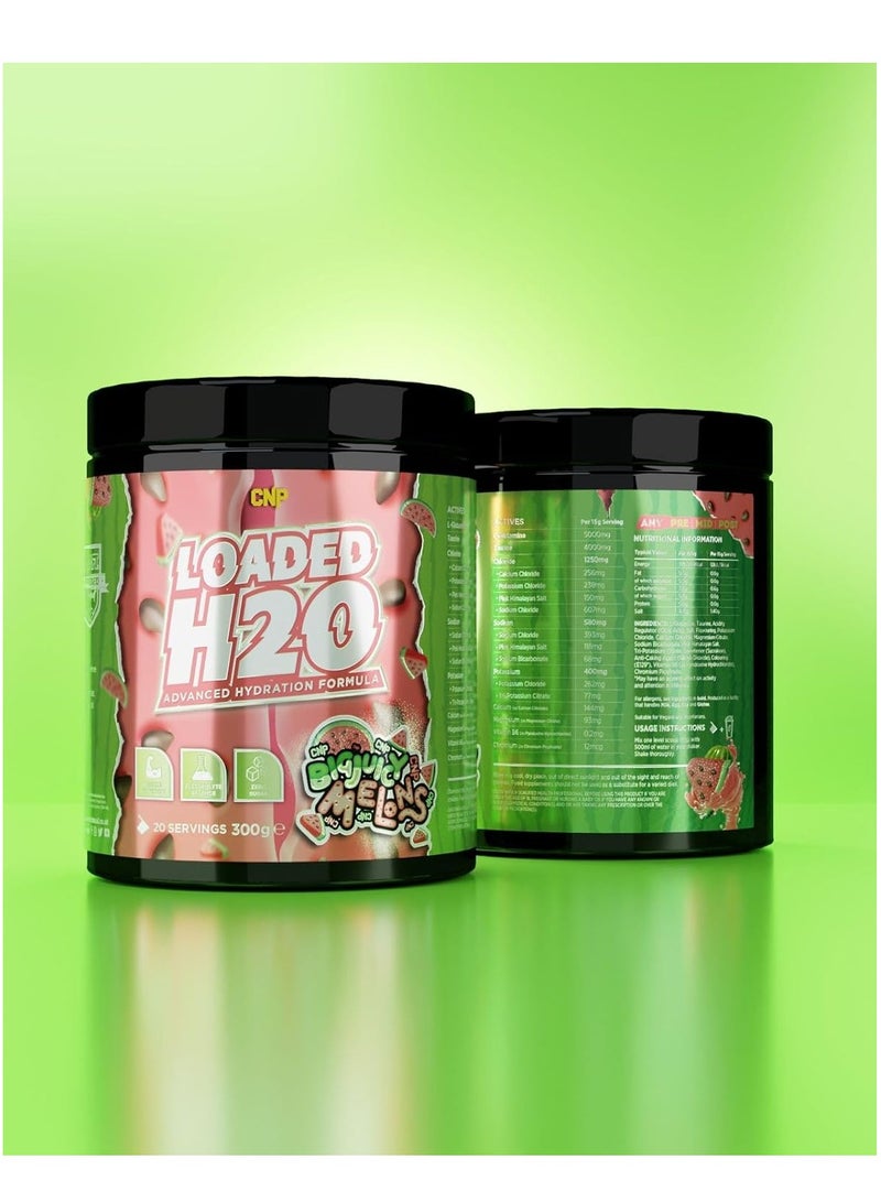 سي إن بي بطيخ كبير وعصير محمل بـ CNP H20، 300 غرام - Image 3