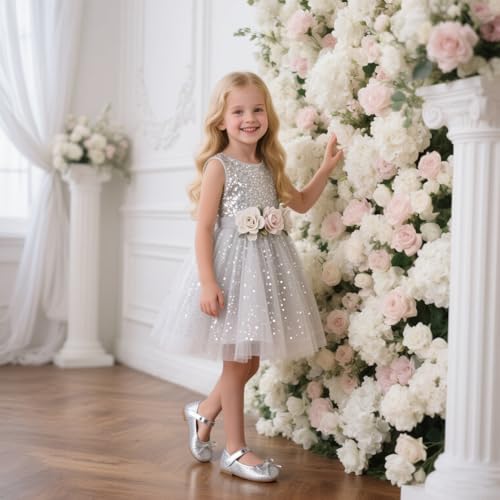 Otter MOMO Toddler/Little Girls Mary Jane Ballerina Flats Shoes Slip-on School Party Silver Dress Shoes Size 9 - Image 3