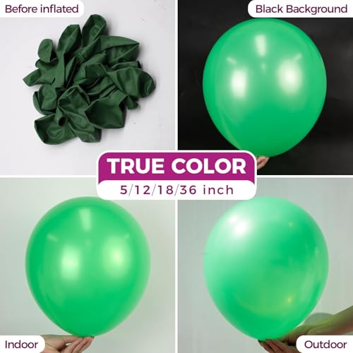 Bezente Green Balloons Latex Party Balloons 150 Pack 5 inch Matte Small Light Green Helium Balloons for Birthday Bridal Shower Christmas Jungle Safari Theme Party Decorations - Image 5