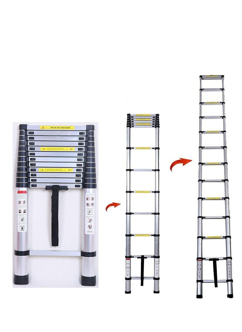 ROBUSTLINE - Robustline Telescopic Folding Ladder Straight 4.4M - Image 1