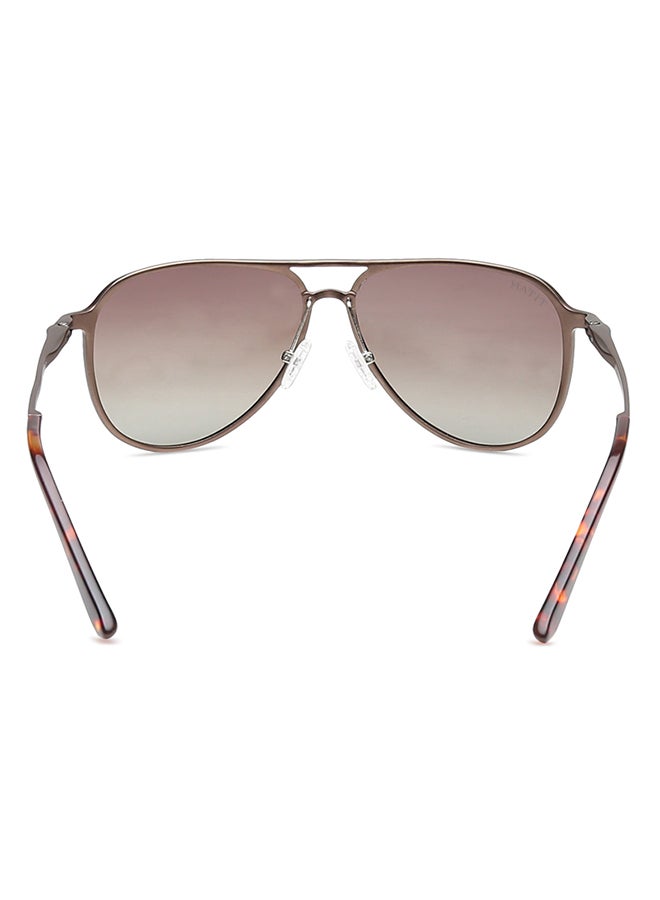 تيتان نظارة شمسية رجالي بني بتصميم الطيار - Image 4