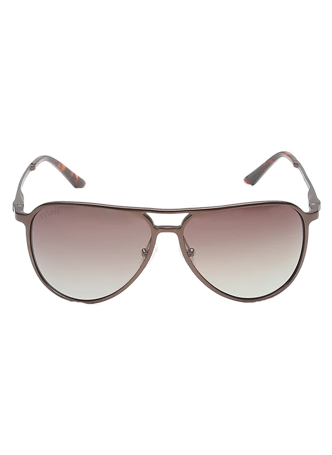 تيتان Brown Aviator Men Sunglasses