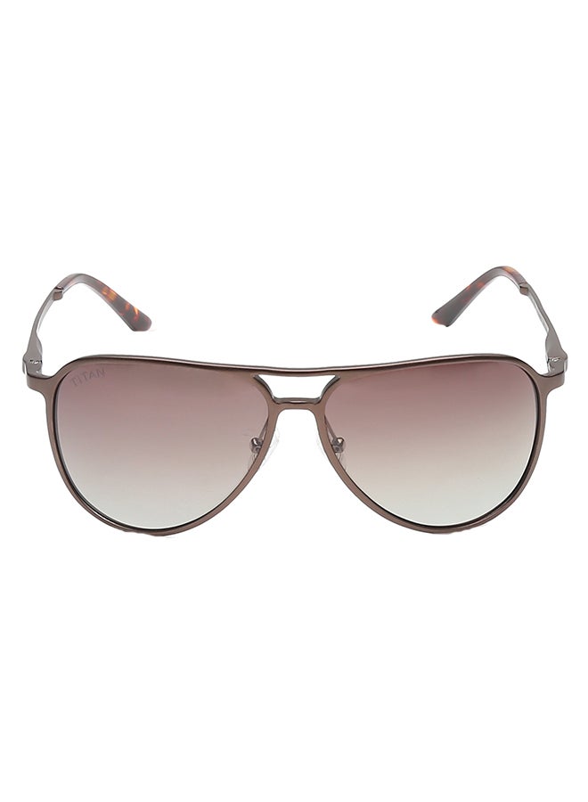 تيتان نظارة شمسية رجالي بني بتصميم الطيار - Image 1
