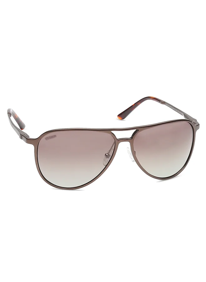 تيتان Brown Aviator Men Sunglasses