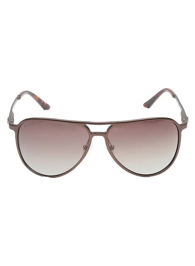 تيتان Brown Aviator Men Sunglasses