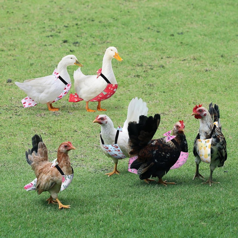 SilTriangle 8 Pcs Chicken Diapers Bird Diaper Reusable Duck Diapers Waterproof and Adjustable Chicken Accessories Poultry(L) - Image 5