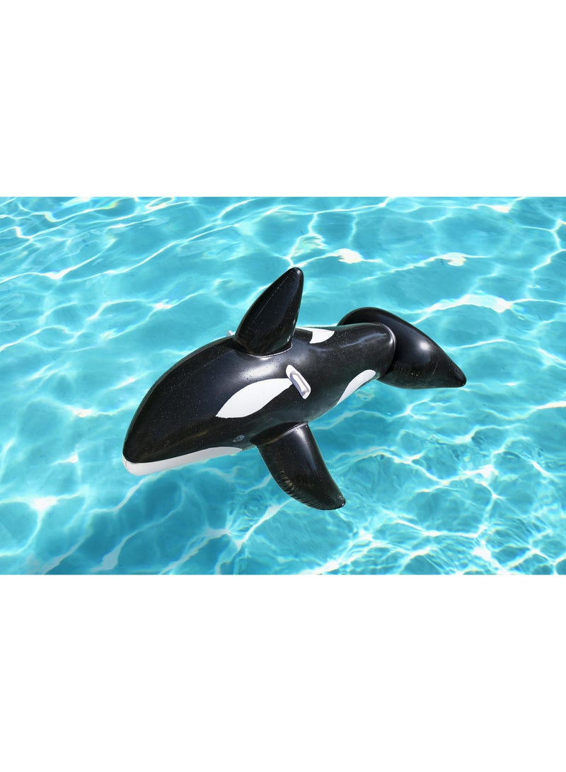 بست واي 60 جهاز كمبيوتر شخصى ملصقات مقاومة للماء، طباعة عالية الوضوح بألوان زاهية مقاومة للماء وقابلة لإعادة الاستخدام، حزم ملصقات زجاجات المياه للكمبيوتر المحمول وأمتعة الكمبيوتر المحمول - Image 2