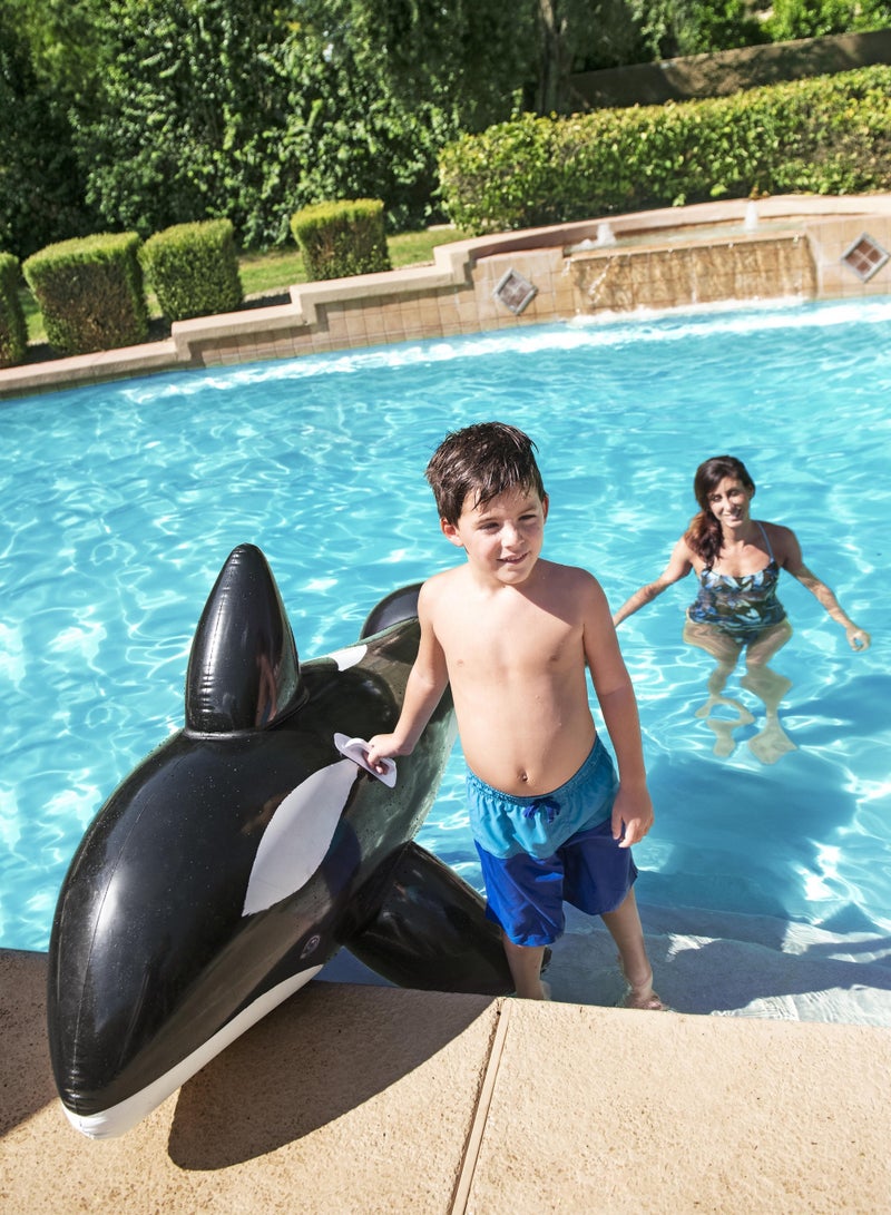 بست واي 60 جهاز كمبيوتر شخصى ملصقات مقاومة للماء، طباعة عالية الوضوح بألوان زاهية مقاومة للماء وقابلة لإعادة الاستخدام، حزم ملصقات زجاجات المياه للكمبيوتر المحمول وأمتعة الكمبيوتر المحمول - Image 5