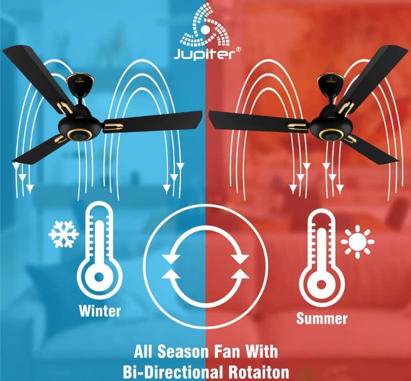 Jupiter Maharaja 3 Blades BLDC Motor 1200 mm Energy Efficient 5 Star Energy Saver High Speed Decorative Ceiling Fan Remote Controlled Black Gold - Image 3