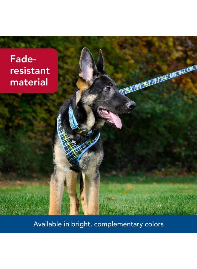 كوستال مقود الكلاب Coastal Pet Ribbon - مظهر عصري أنيق - مادة نايلون متينة مقاومة للبهتان - مثالي للكلاب ذات الأقدام والعظام البنية، 5/8 بوصة × 0.6 قدم - Image 4