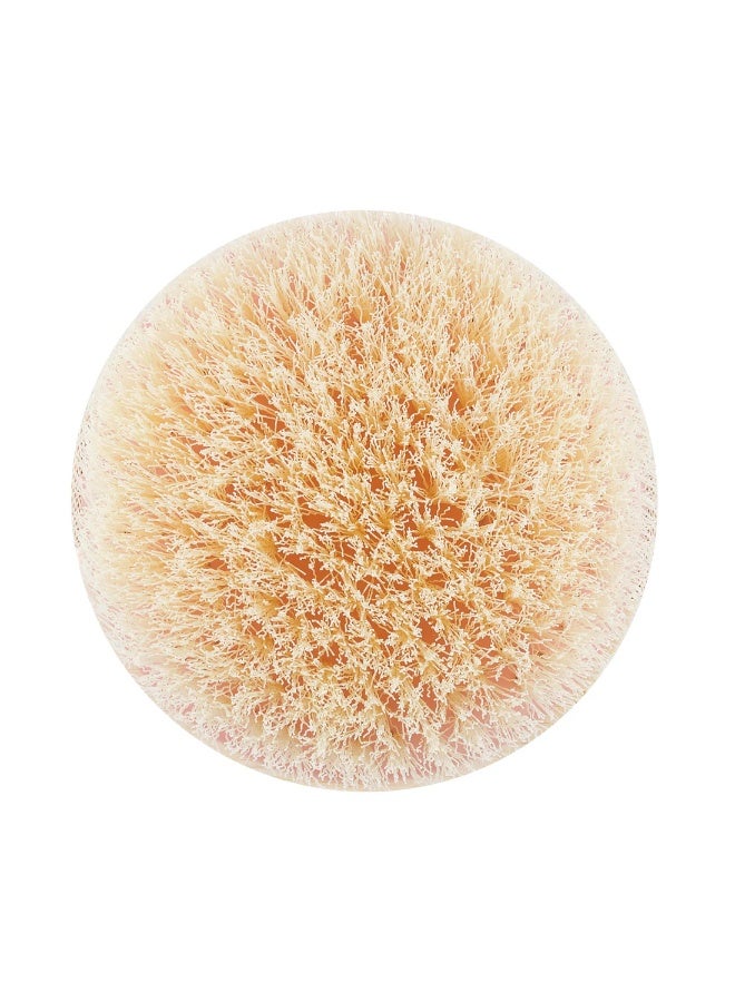 EcoTools Dry Body Brush – Exfoliating Brush for Post-Shower Skincare, Improves Circulation & Smooths Skin - Image 3