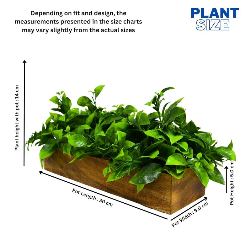 DecoreBugs Artificial Plant Leaves in Wooden Rectangular Tray, Home décor Items for Decoration Height 14 cm x Width 30 cm DB-8878 - Image 3