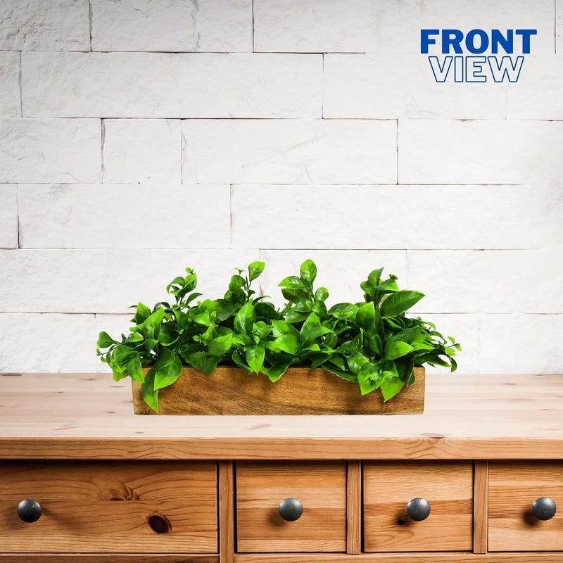 DecoreBugs Artificial Plant Leaves in Wooden Rectangular Tray, Home décor Items for Decoration Height 14 cm x Width 30 cm DB-8878 - Image 5