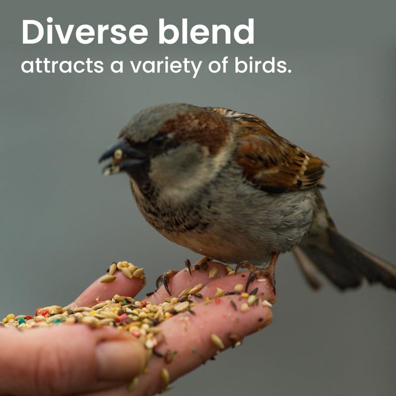 BRANDSFINITY Premium Bird Feed For Canaries (400g) - Image 3