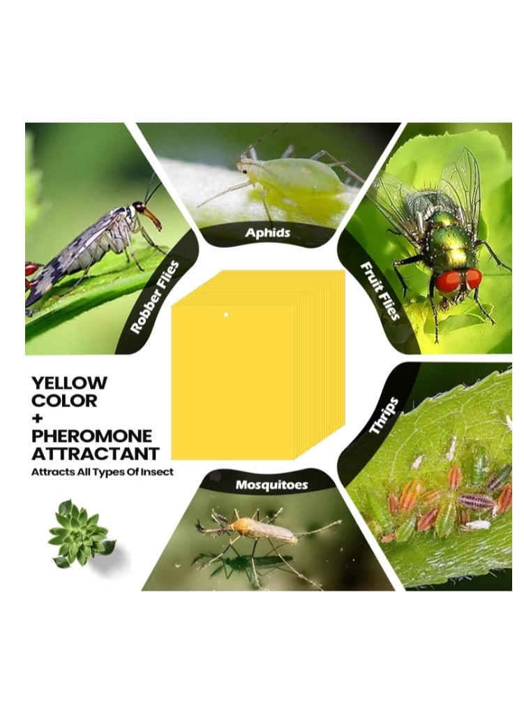 الواحة-TH 20 مصيدة لاصقة مزدوجة الجوانب لقتل الحشرات الطائرة مثل الذباب الأبيض والمن والحشرات الطائرة، مصائد البعوض اللاصقة، مصائد ذباب الفاكهة للاستخدام الداخلي والخارجي، بما في ذلك أربطة ملتوية، صفراء 20×10 سم - Image 2
