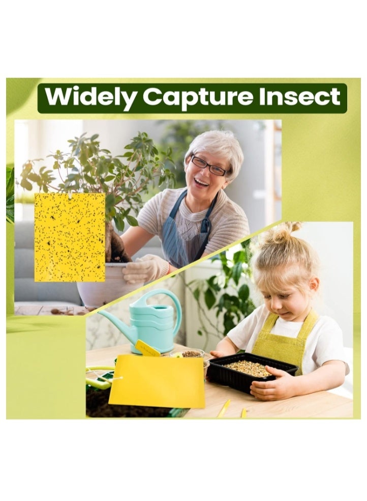 الواحة-TH 20 مصيدة لاصقة مزدوجة الجوانب لقتل الحشرات الطائرة مثل الذباب الأبيض والمن والحشرات الطائرة، مصائد البعوض اللاصقة، مصائد ذباب الفاكهة للاستخدام الداخلي والخارجي، بما في ذلك أربطة ملتوية، صفراء 20×10 سم - Image 3