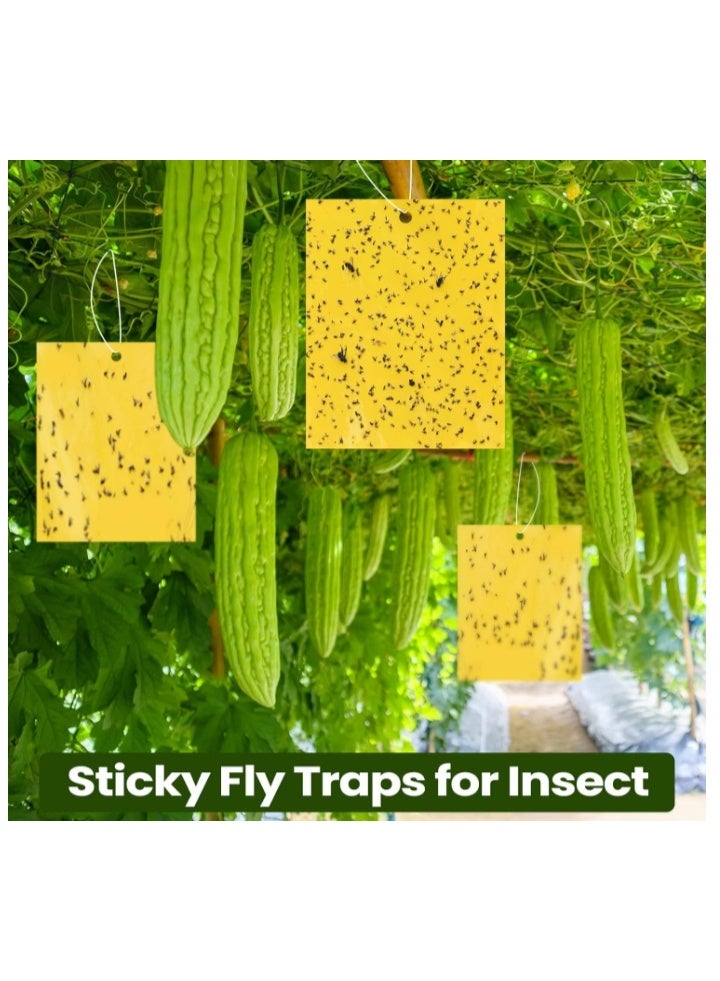 الواحة-TH 20 مصيدة لاصقة مزدوجة الجوانب لقتل الحشرات الطائرة مثل الذباب الأبيض والمن والحشرات الطائرة، مصائد البعوض اللاصقة، مصائد ذباب الفاكهة للاستخدام الداخلي والخارجي، بما في ذلك أربطة ملتوية، صفراء 20×10 سم - Image 5