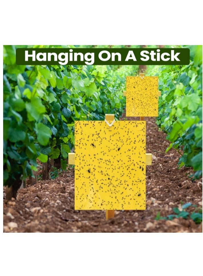 الواحة-TH 20 مصيدة لاصقة مزدوجة الجوانب لقتل الحشرات الطائرة مثل الذباب الأبيض والمن والحشرات الطائرة، مصائد البعوض اللاصقة، مصائد ذباب الفاكهة للاستخدام الداخلي والخارجي، بما في ذلك أربطة ملتوية، صفراء 20×10 سم - Image 4