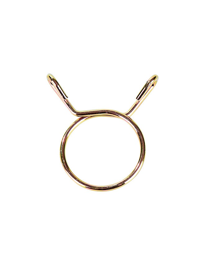 Hongxu Quick Hand-Kneading Single Wire Clamp Fish Tank Oxygen Tube Clip Galvanized Spring Clip Clamp Clamp-Specifications And Models:Color Zinc Inner Diameter M45  - Image 5