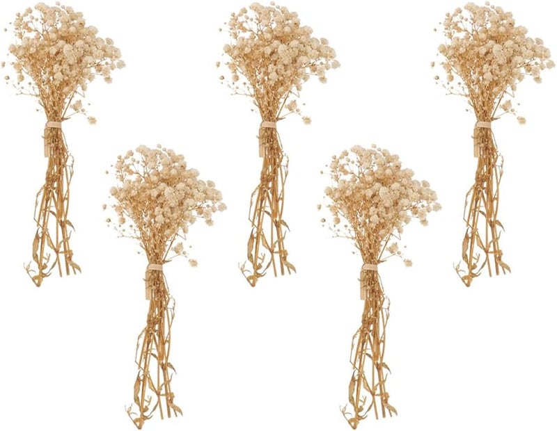 Natural Dried Gypsophila Flower Bouquet 5 Bundles for Wedding Home Decor DIY Floral Arrangement - Image 1