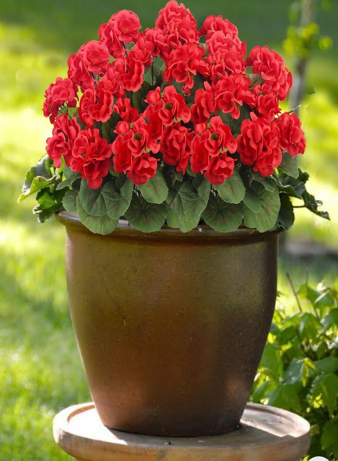 CITYES 3 Pcs Artificial Geraniums Flowers Silk Geraniums for Outdoors UV Resistant Red Fake Geranium Bush Faux Flowers Plant for Planter Garden Home Decor Indoor Patio Vase Table Centerpiece - Image 5
