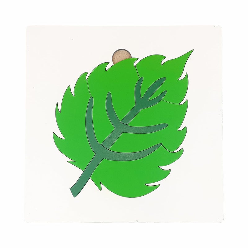Tantrums Montessori Leaf Puzzle - Educational Learning Aid for Kids - Image 1