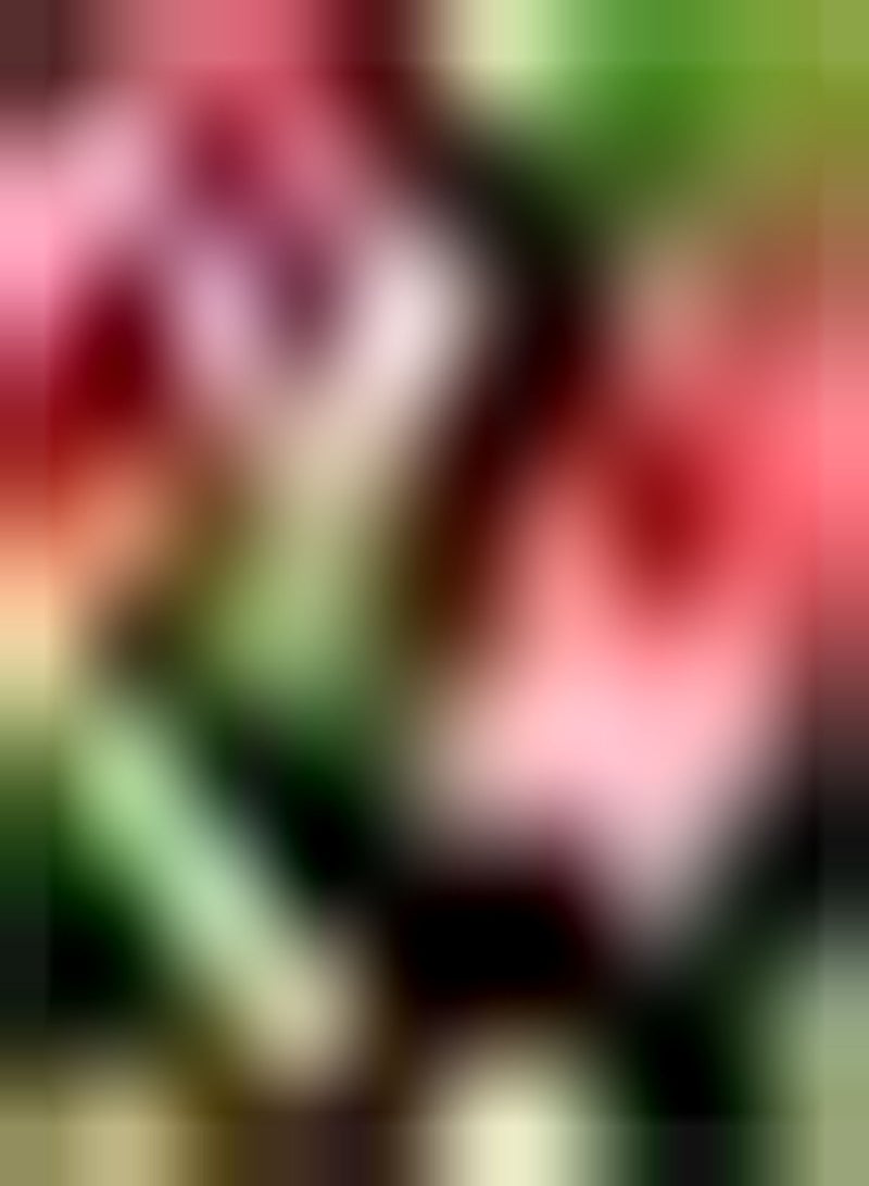 GGOOT 100Stück rosafarbene Stockrose Samen prächtige sorglose Blumen Einstiegssorte die Schmetterlinge und Bienen anzieht weitläufige Gartenbepflanzung - Image 1