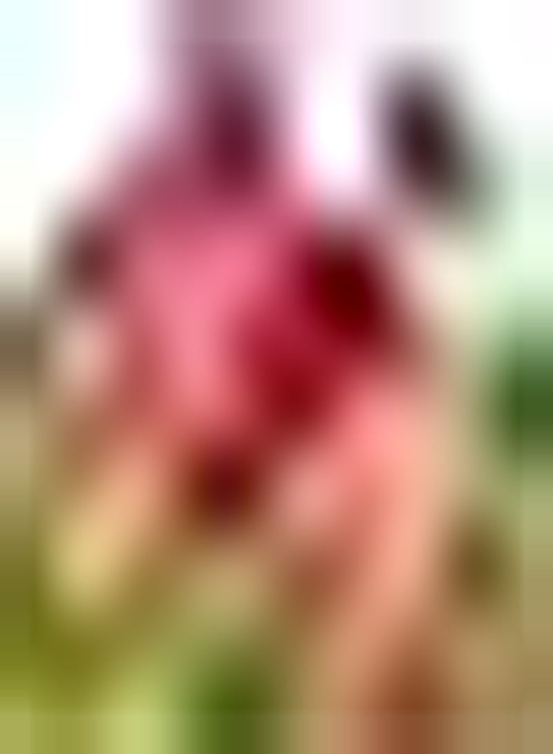 GGOOT 100Stück rosafarbene Stockrose Samen prächtige sorglose Blumen Einstiegssorte die Schmetterlinge und Bienen anzieht weitläufige Gartenbepflanzung - Image 2