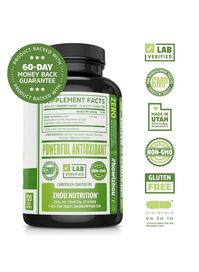 Zhou Nutrition Green Tea Extract Supplement - Green Tea & ECGC for Women & Men, Clean Caffeine Energy, Antioxidant Support, 500mg Per Serving - 120 Vegan Friendly Capsules - Image 2