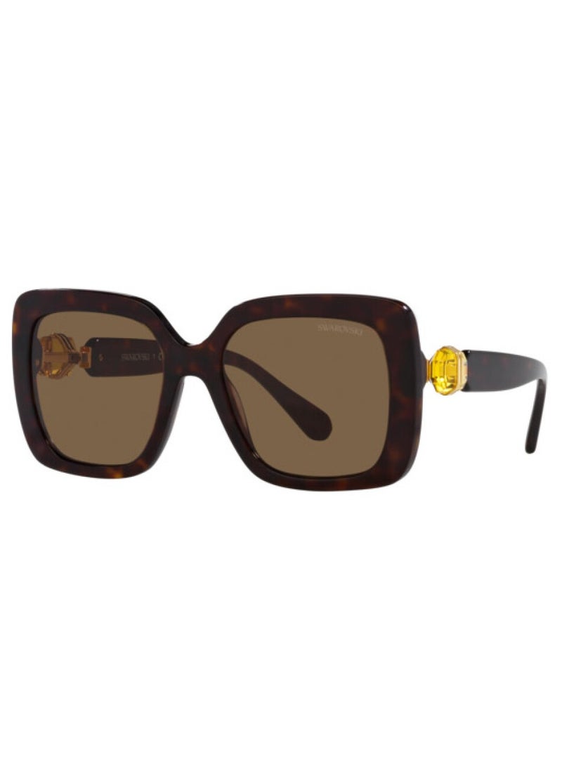SWAROVSKI Swarovski SK6001 100273 55 Women's Sunglasses - Image 1