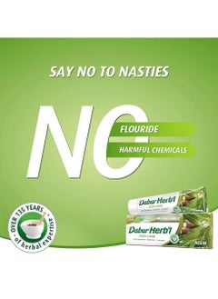 Dabur Herbal Natural neem toothpaste  - Image 2