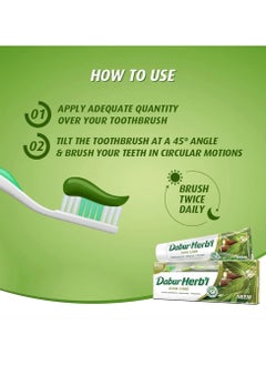 Dabur Herbal Natural neem toothpaste  - Image 3