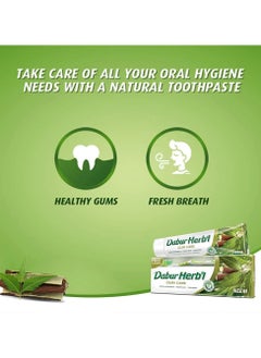 Dabur Herbal Natural neem toothpaste  - Image 4