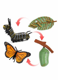 KASTWAVE Butterfly Life Cycle Kit Lifestyle Stages of Monarch Butterfly Teaching Tools for Kids, Students  - Image 1