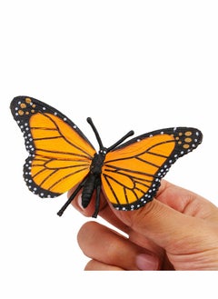 KASTWAVE Butterfly Life Cycle Kit Lifestyle Stages of Monarch Butterfly Teaching Tools for Kids, Students  - Image 3
