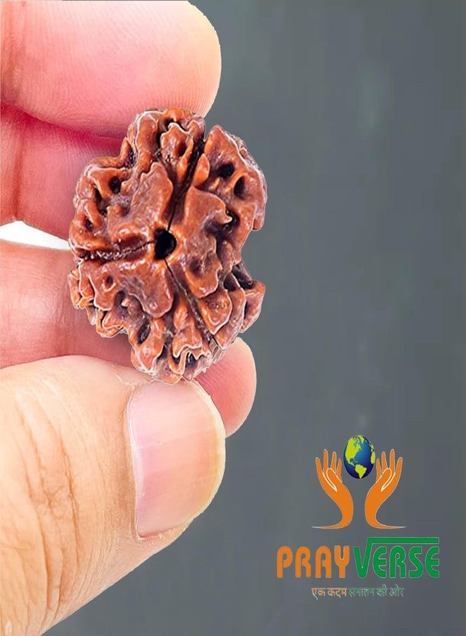 PRAYVERSE 03 Mukhi Rudraksha أصلي مع شهادة - Image 2
