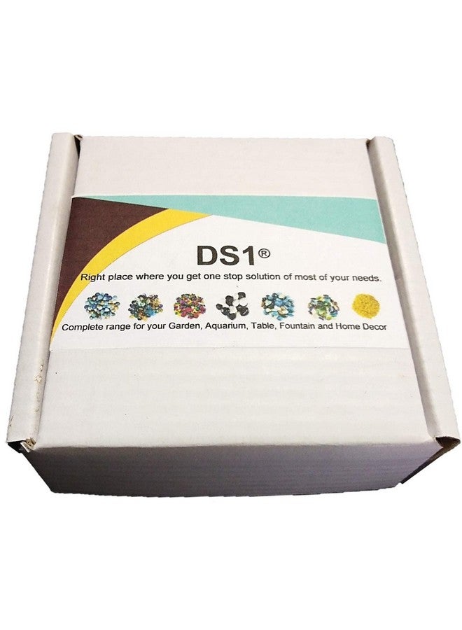 DS Glass Pebbles (Multicolour) - Image 2