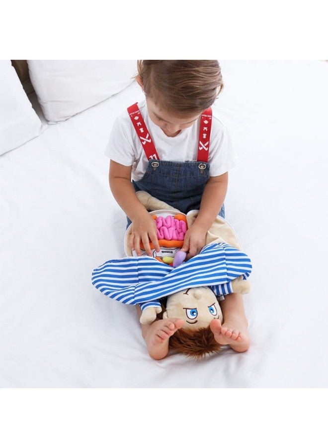 KAKIBLIN Anatomy Toys for Kids, Body Organs, Human Body Model for Kids, Preschool Educational Organ Plush,Science Learning Kits, Body Organ Science Kits Sensory Toys for Boys Girls - Image 5