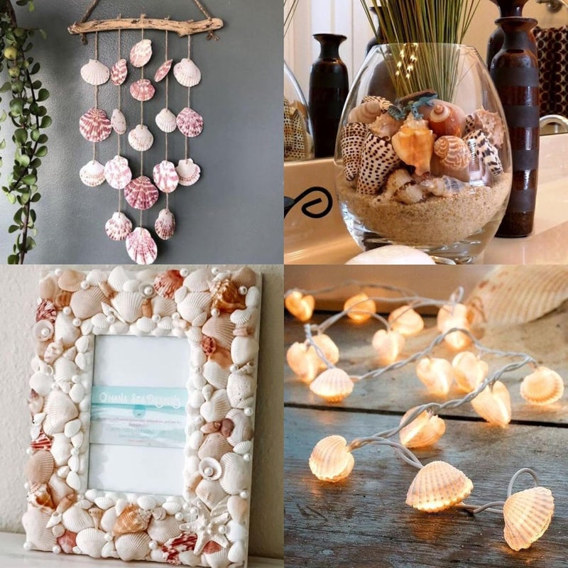 JUNERUSH Decorative Mix Artificial Sea Shell charms for craft, jewellary making, Aquarium, Resin Art, Mix collection (All sizes) (400, Grams) - Image 5