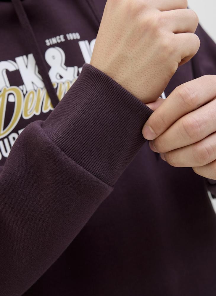 JACK & JONES Logo Regular Fit Pullover Hoodie - Image 4